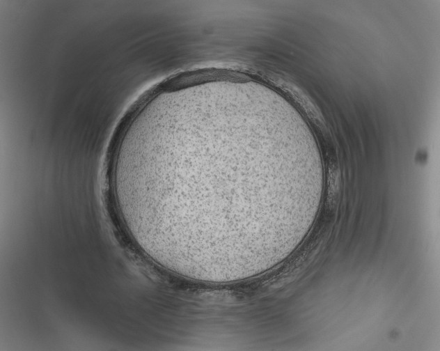 X0000116790628201001081314