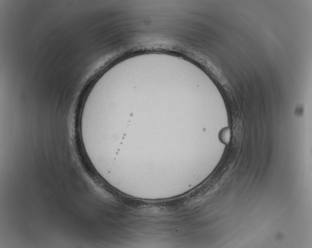 X0000116790629201001081314