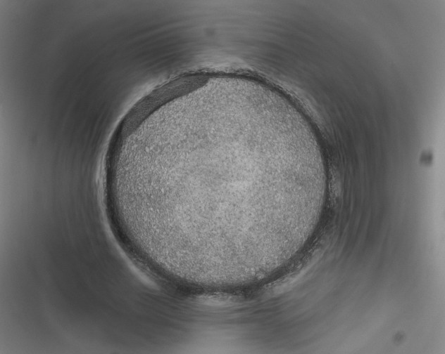 X0000116790630201001081314