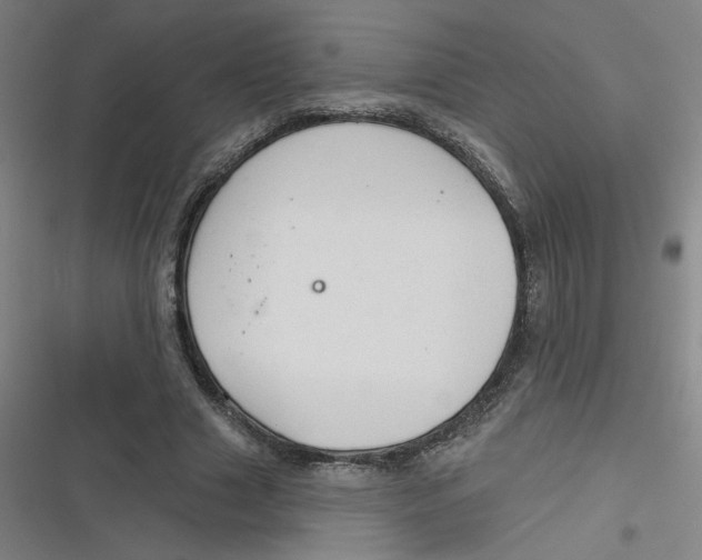 X0000116790633201001081314