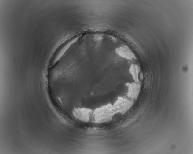 X0000116790634201001081314