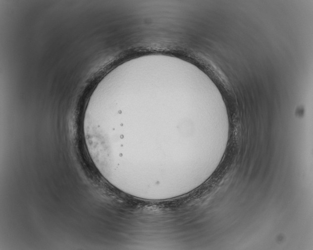 X0000116790635201001081314