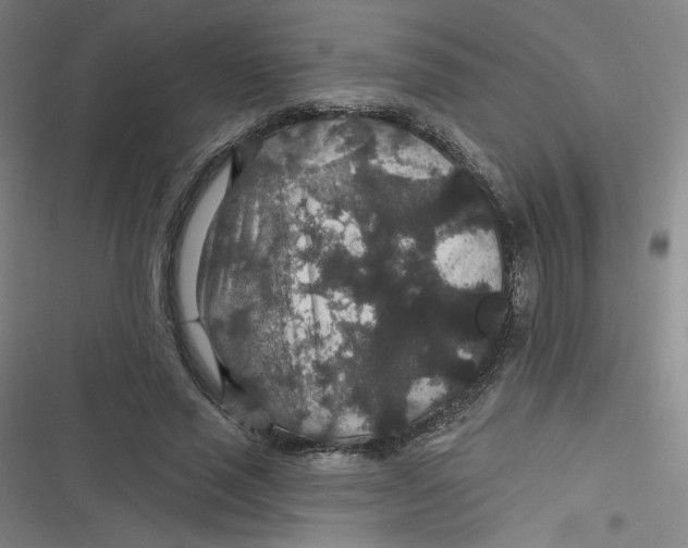 X0000116790637201001081314