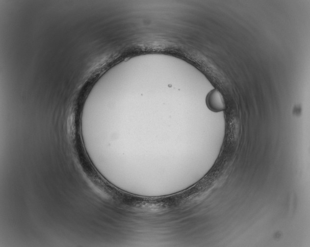 X0000116790638201001081314