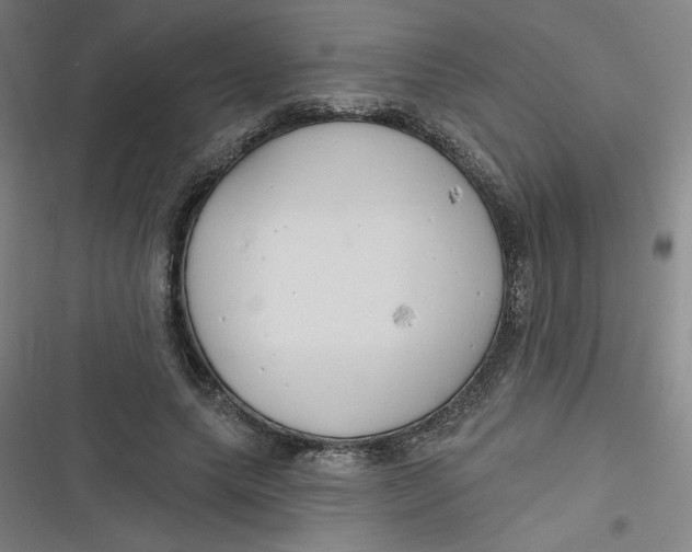 X0000116790639201001081314