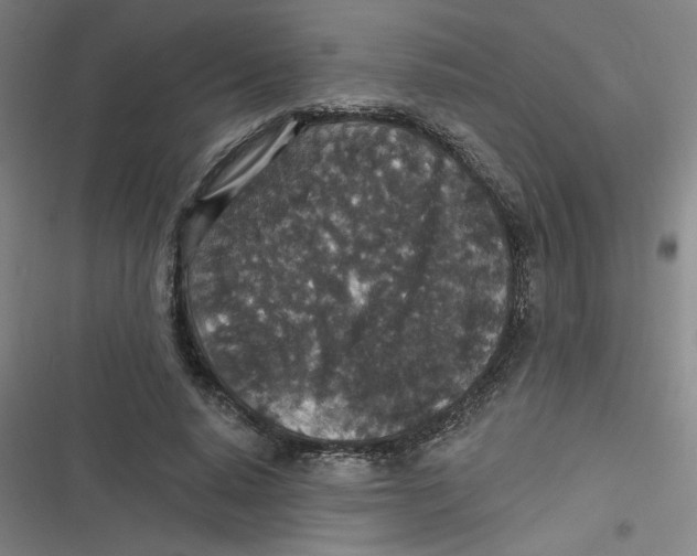 X0000116790640201001081314