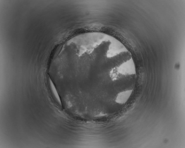 X0000116790641201001081314