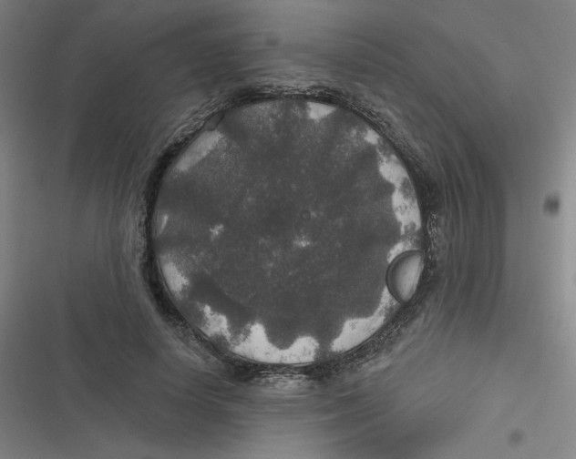 X0000116790642201001081314