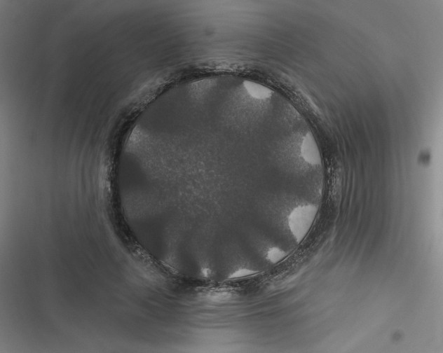 X0000116790643201001081314