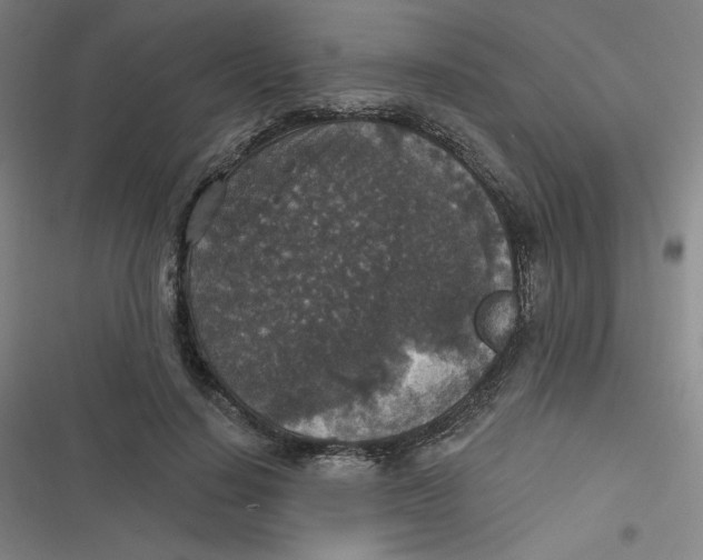 X0000116790644201001081314