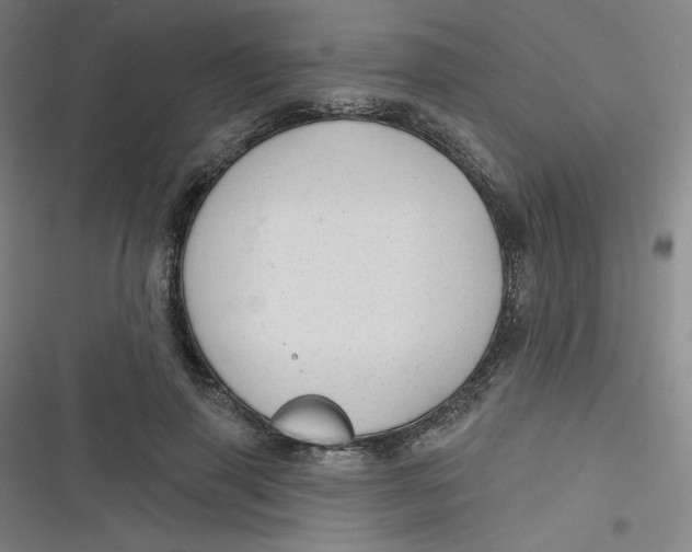 X0000116790645201001081314