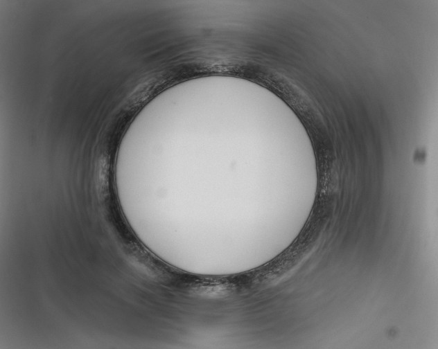 X0000116790646201001081314