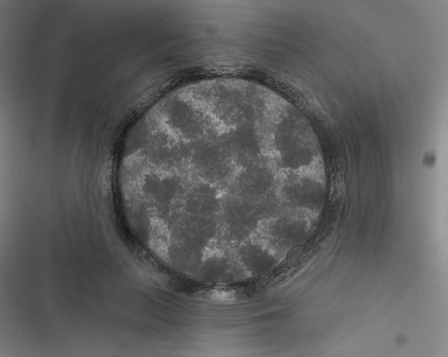 X0000116790647201001081314