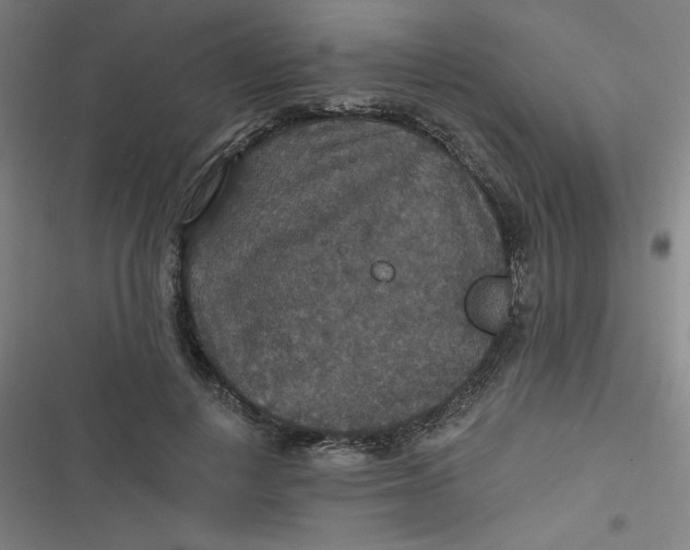 X0000116790648201001081314