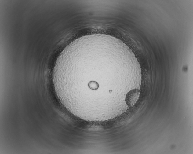 X0000116790649201001081314