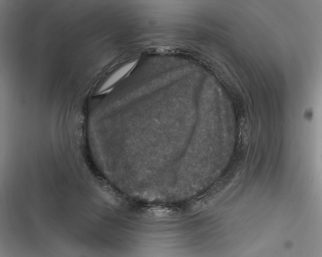 X0000116790650201001081314