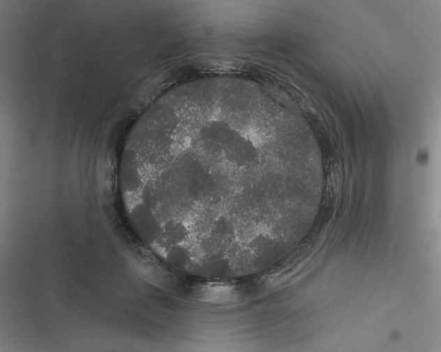 X0000116790651201001081314