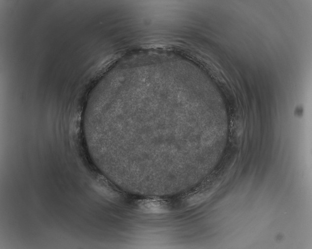 X0000116790652201001081314