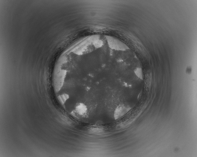 X0000116790653201001081314