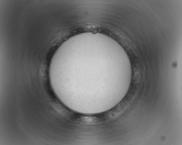 X0000116790654201001081314