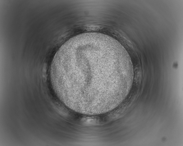 X0000116790655201001081314