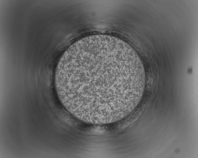 X0000116790656201001081314