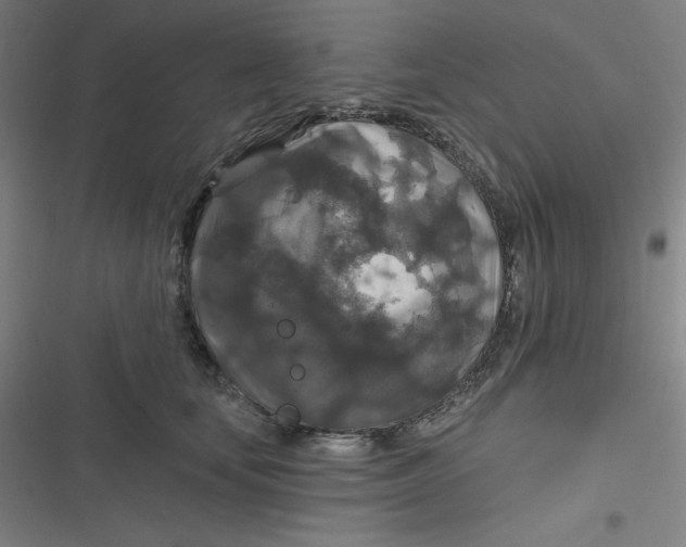 X0000116790659201001081314