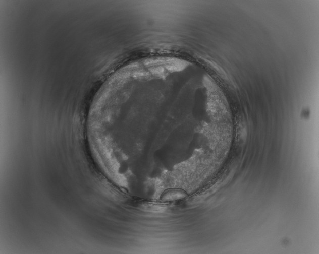 X0000116790661201001081314