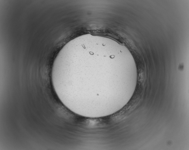 X0000116790662201001081314