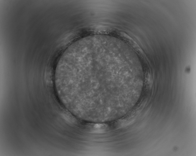 X0000116790663201001081314