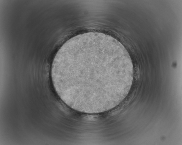 X0000116790664201001081314