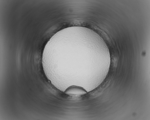 X0000116790665201001081314