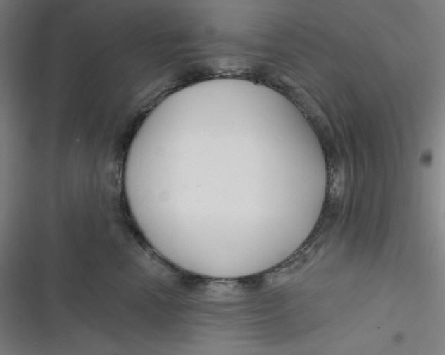 X0000116790666201001081314