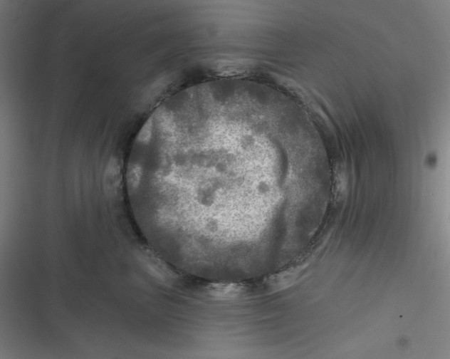 X0000116790667201001081315