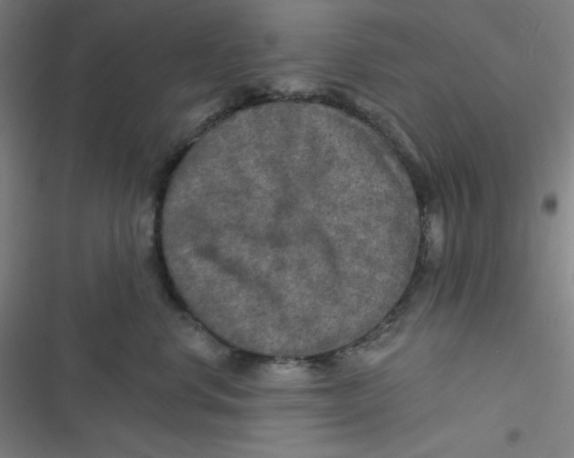 X0000116790668201001081315