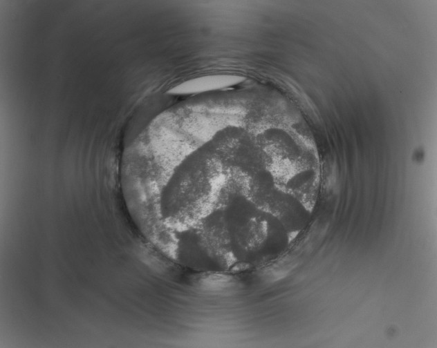 X0000116790669201001081315