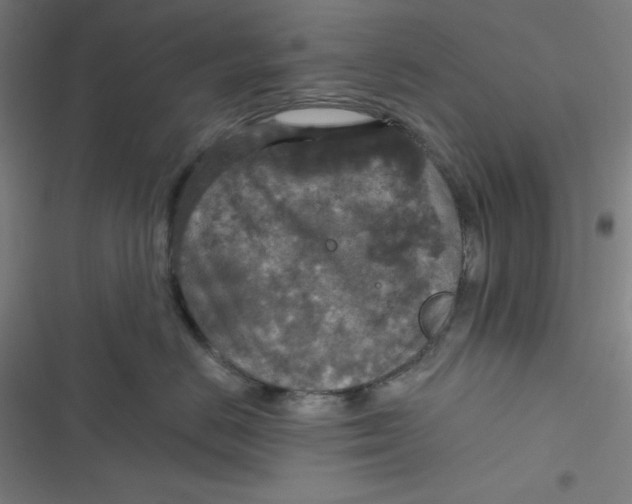 X0000116790670201001081315