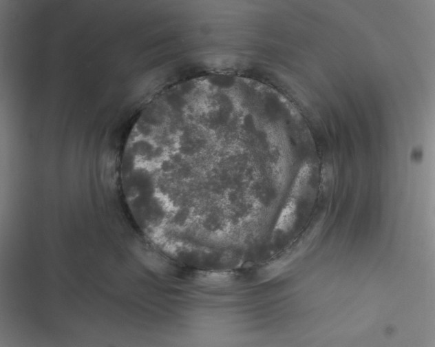 X0000116790671201001081315