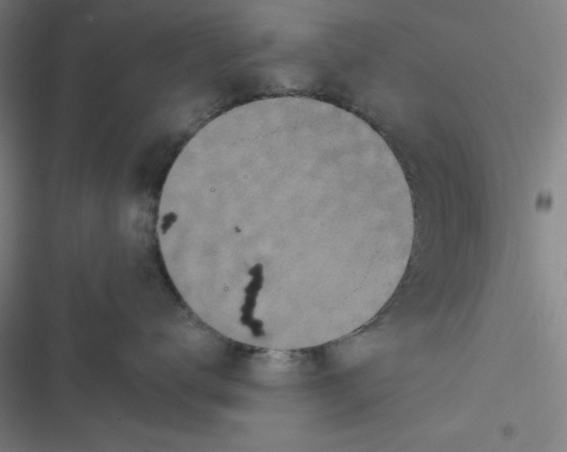 X0000116790672201001081315