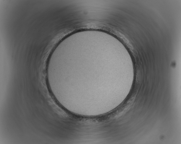 X0000116790673201001081314