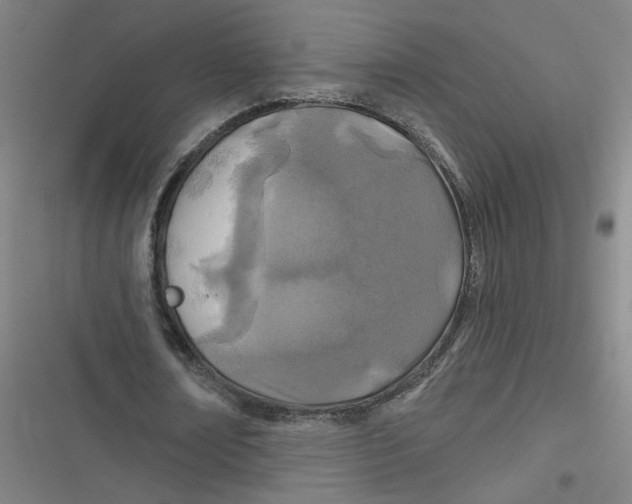 X0000116790674201001081314