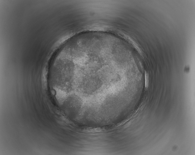 X0000116790675201001081314