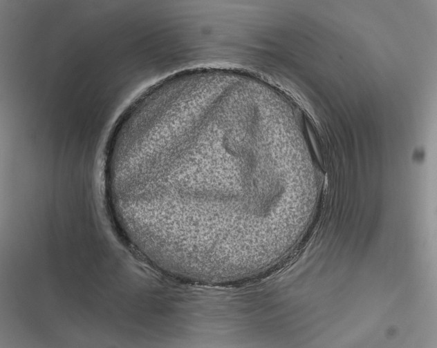 X0000116790676201001081314