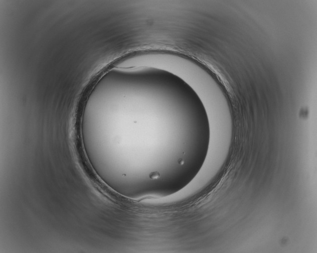 X0000116790677201001081314