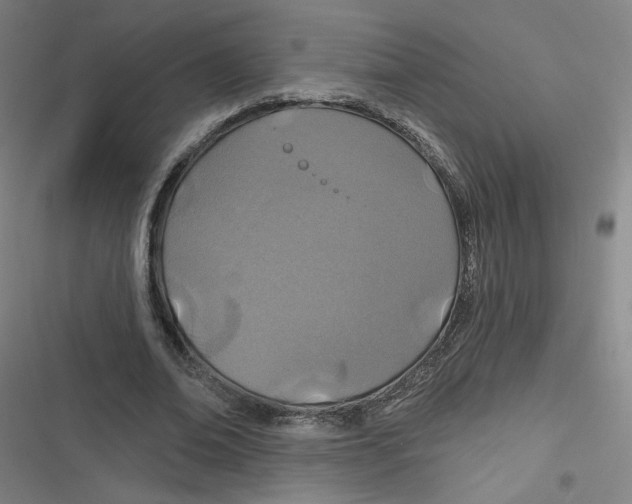 X0000116790678201001081314