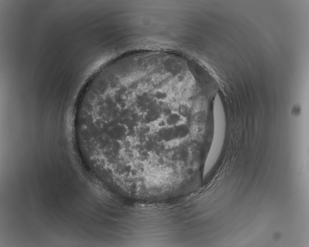 X0000116790679201001081314