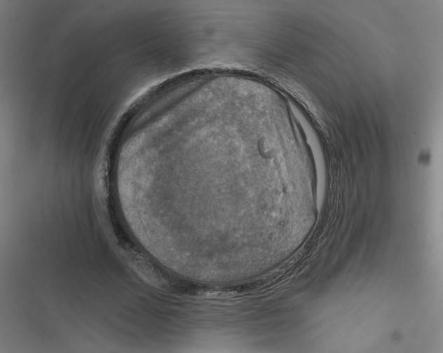 X0000116790680201001081314