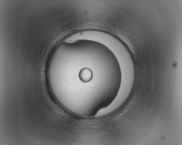 X0000116790681201001081314