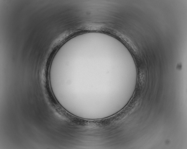 X0000116790682201001081314