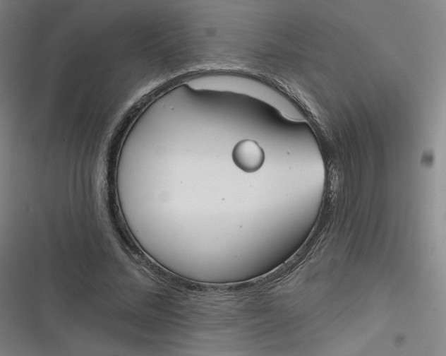 X0000116790684201001081314